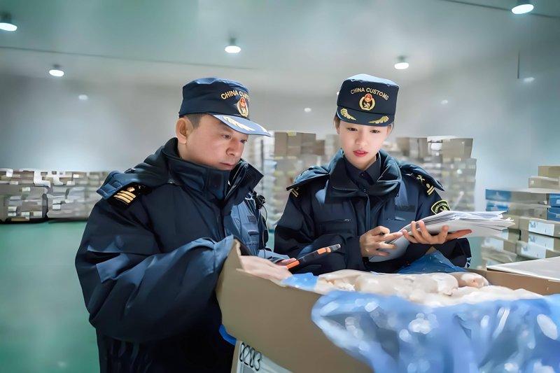 国际贸易选购指南:打造企业国际市场新通道
