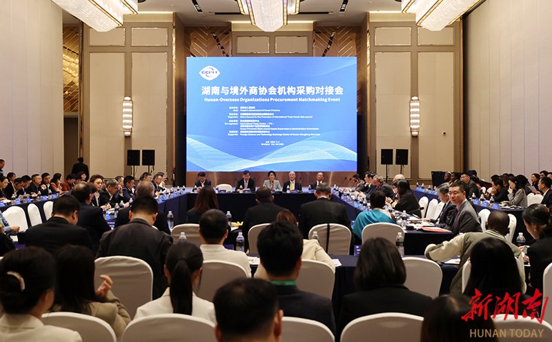国际贸易：动态风云中的机遇与挑战